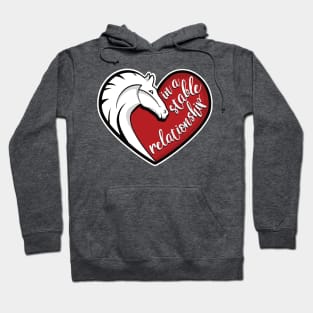 In a stable relationship Hoodie